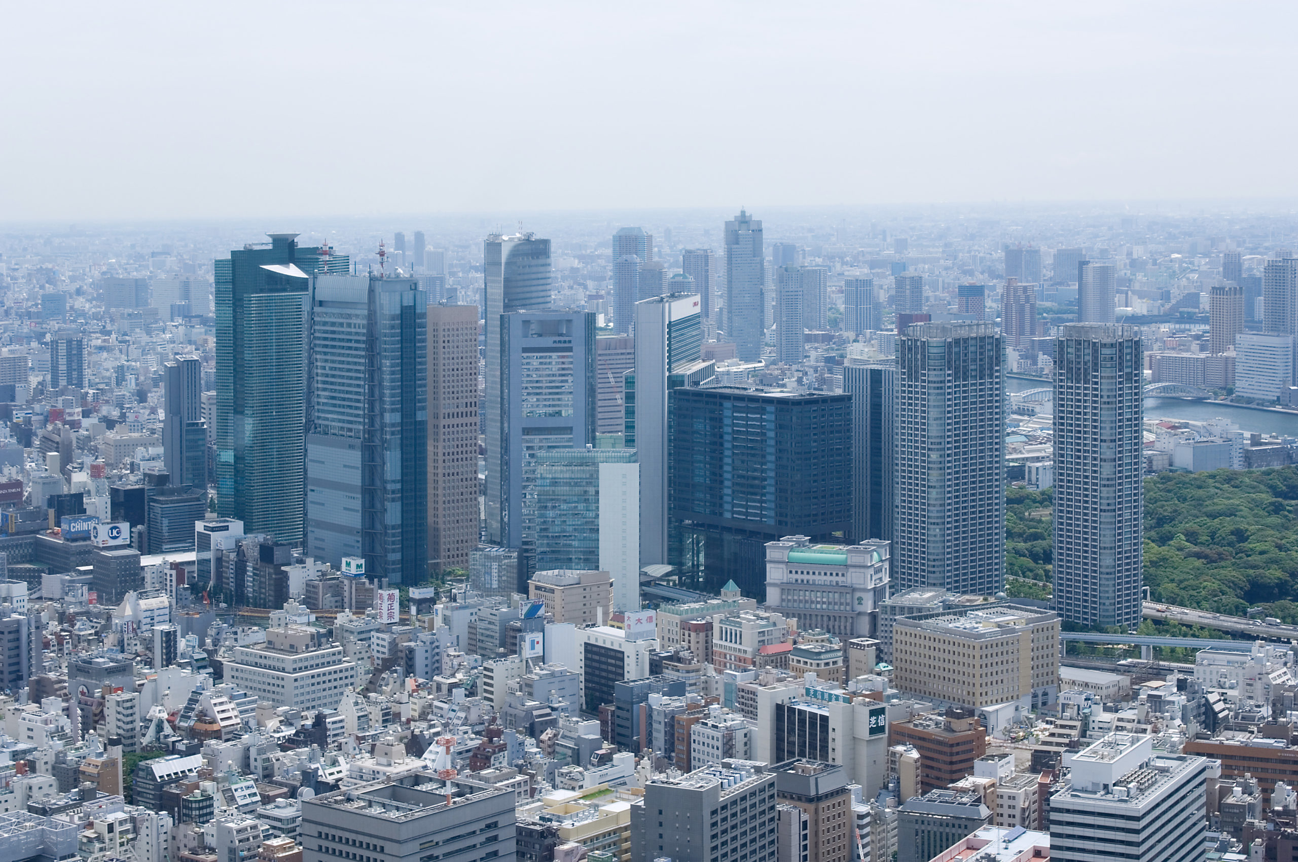 東京都議会