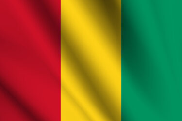 【目指せ！外交官】フランスと関係の深い「ギニア共和国」の基礎知識（2021年5月調査情報）